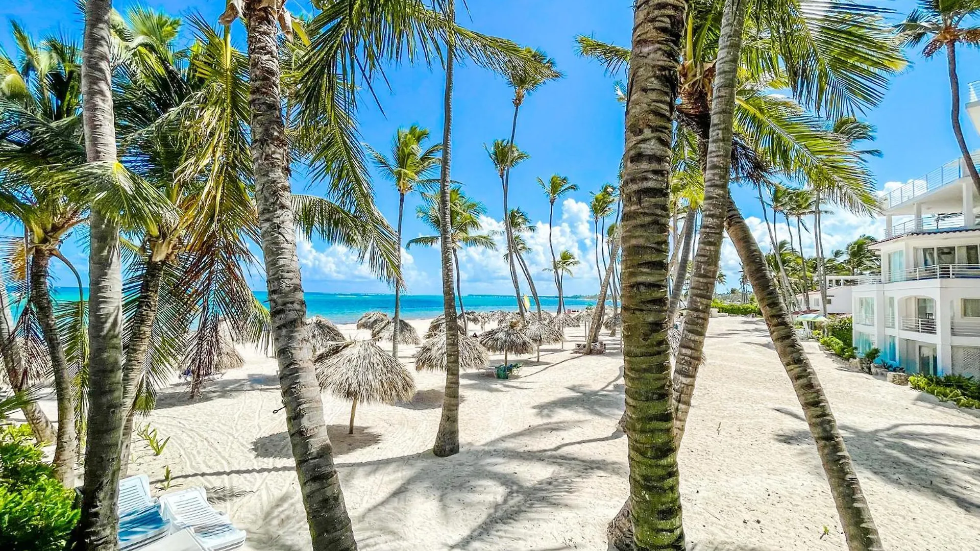 Studios And Suites Ducassi Rooftop Pool Hotel - Beach Club & Spa Punta Cana 5*,